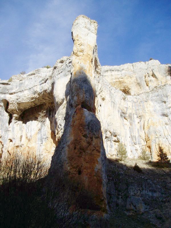 Forma bitxiko malkarra