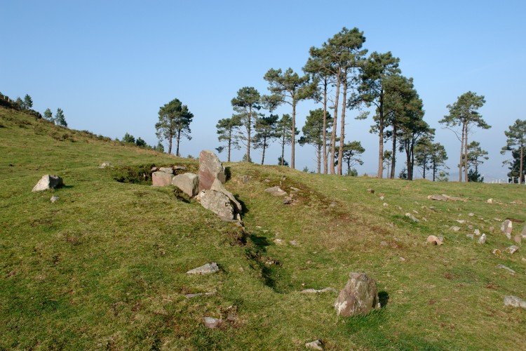 Pozontarri zista, Bisisarobe lepoan