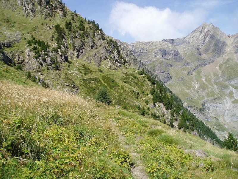 Tormosako erlaitzeko bidea