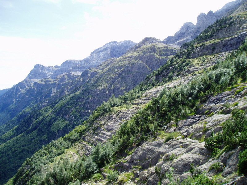 Bailararen eskuinaldeko magalaren ikuspegi bat