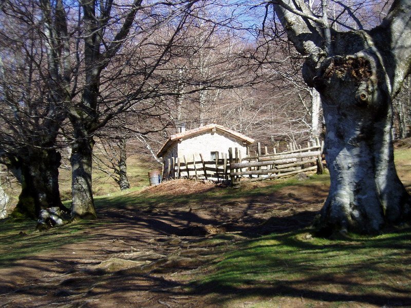 Artzain txabola bat Mendiolatik igotzen den bidearen ondoan