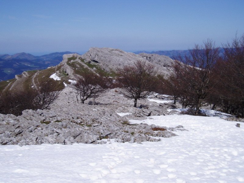 Elorreta Arangurendik ikusita