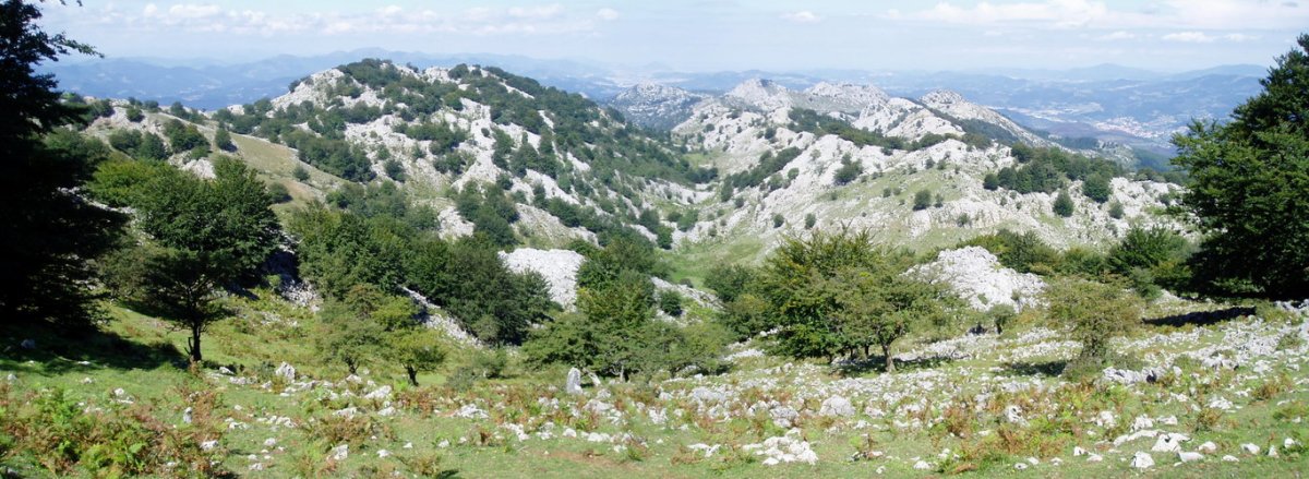 Legarmendi mendikatea Artxaganen maldetatik ikusita