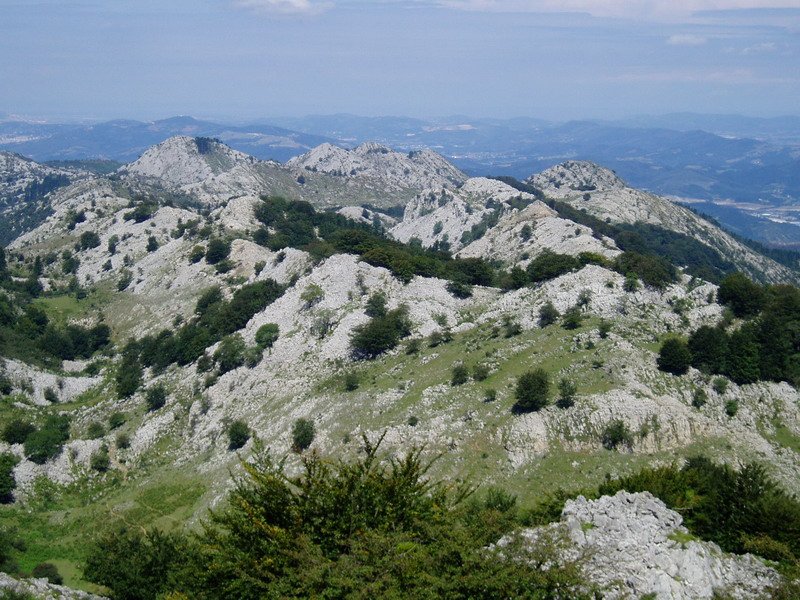 Hego-ekialdetik ikusita