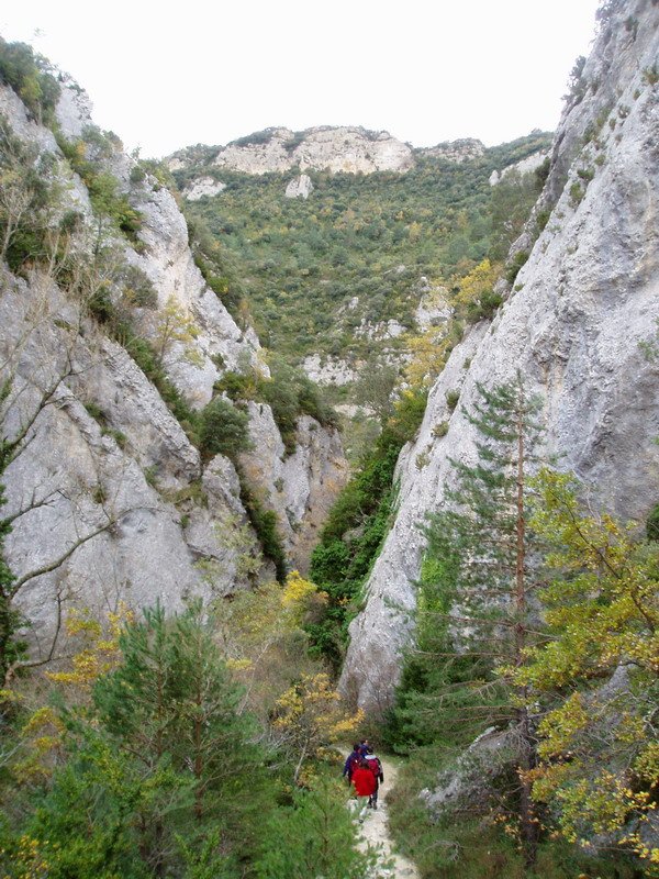 Puron errekaren arroila