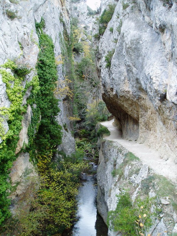 Puron errekaren arroila