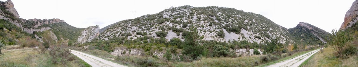 Arroilaren behealdeko bailara