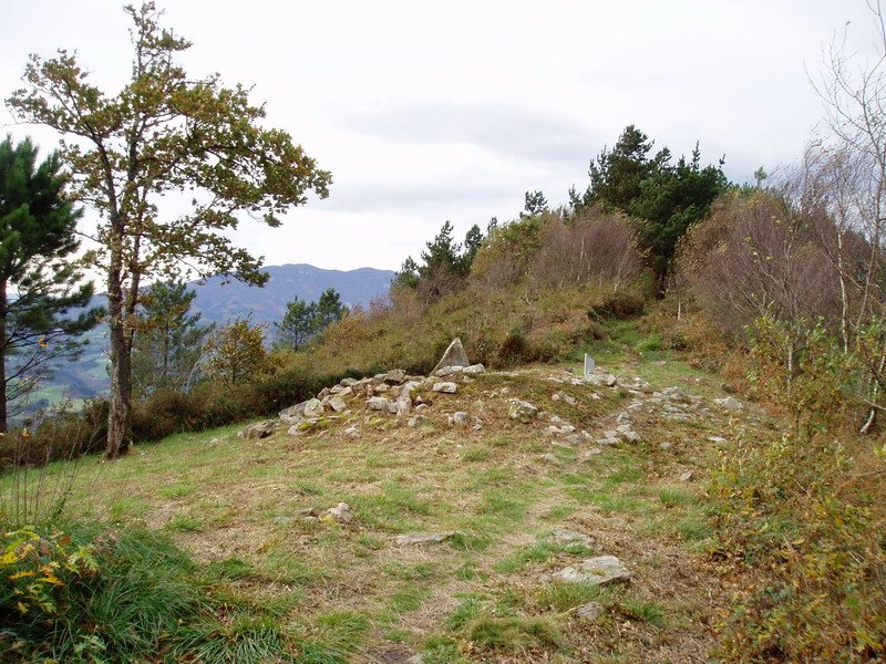 Belkoaineko trikuharria