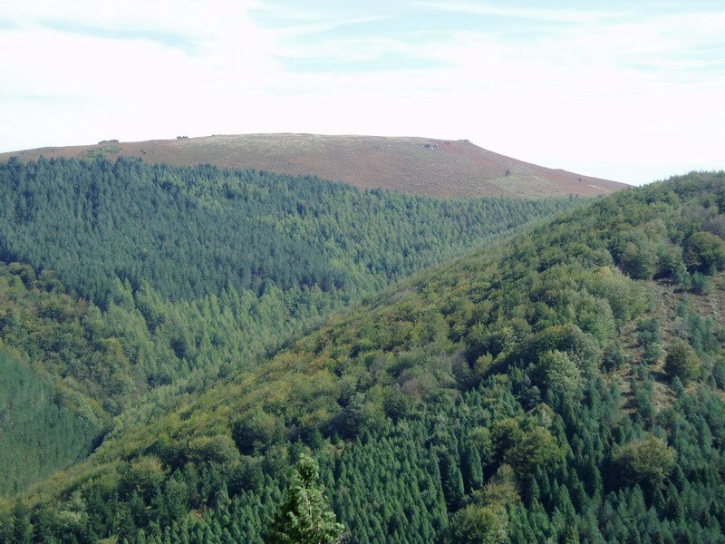 Usako atxatik ikusita