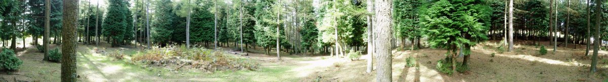 Elgea I trikuharria eta ingurua