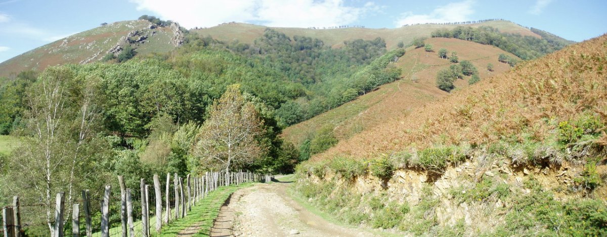 Hego-ekialdetik ikusita