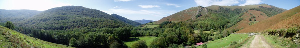 Leitzalarrea bailara