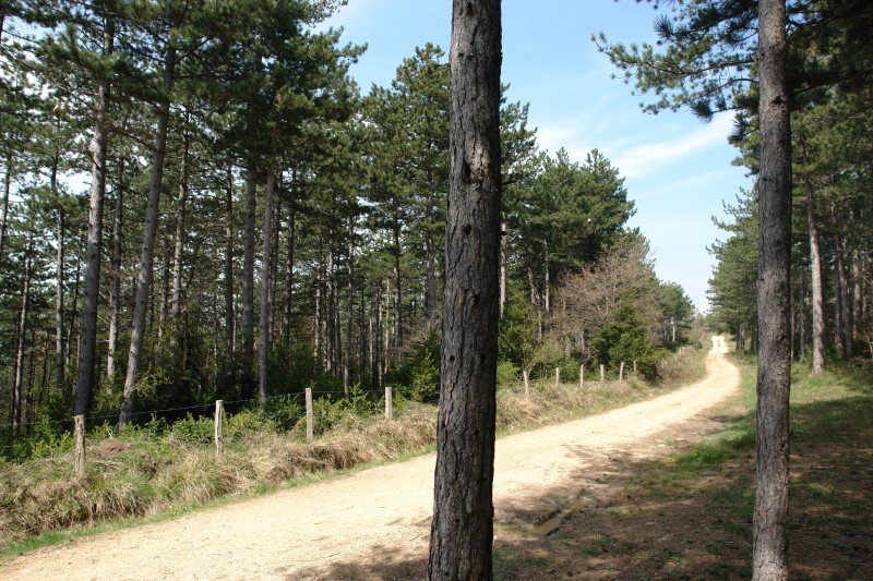 Gain aldeko pista, ekialdean