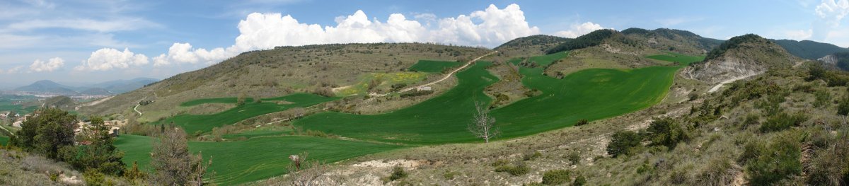 Ardanatz aldeko isurialdea