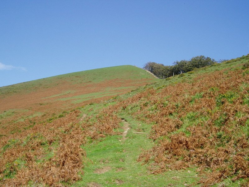 Hegoaldetik igotzen den bidetik ikusita