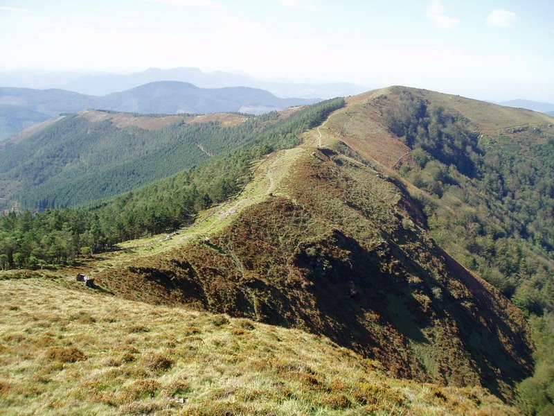 Hego-ekialdetik ikusita