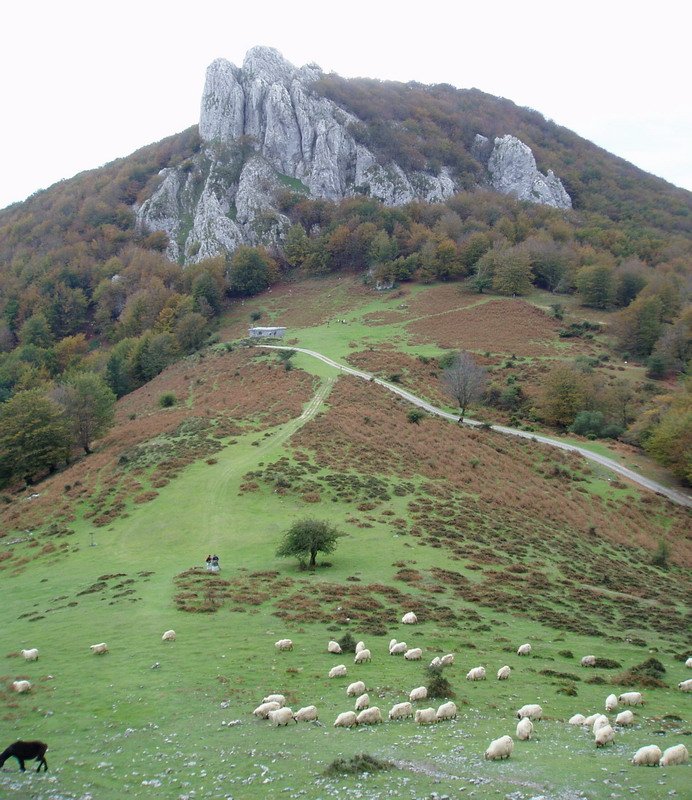 Zabalaundi lepoa eta Ipizte