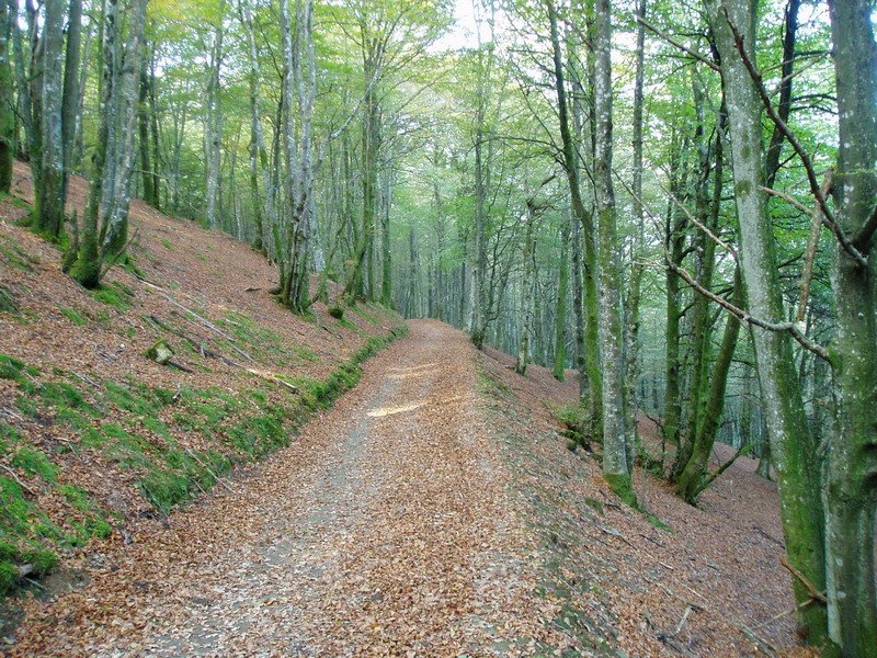 Uitzi mendatetik igotzen den bidea