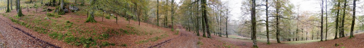 Ipar-mendebaldetik gerturatzen den bidea