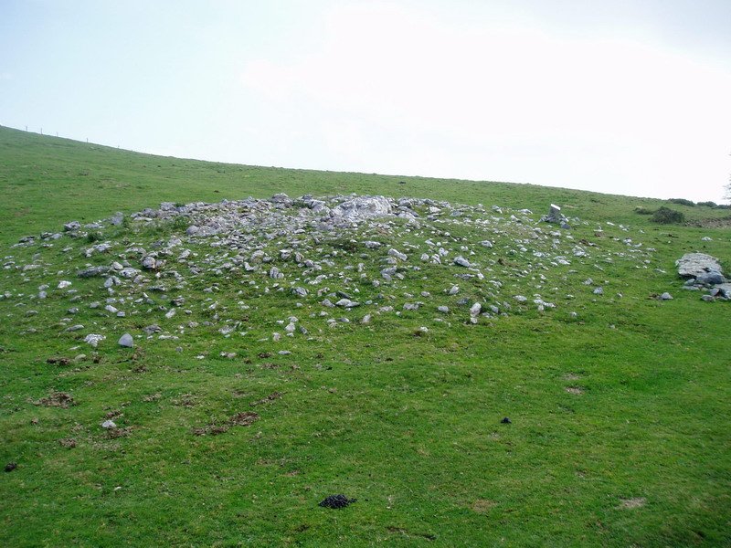 Bi Aizpen Sepulture trikuharria