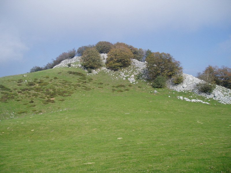 Iparralderago dagoen tontor bat