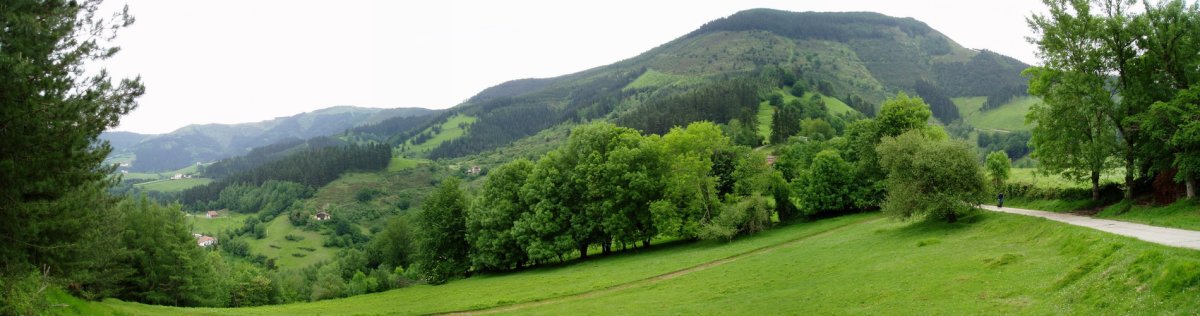 Hego-ekialdetik ikusita