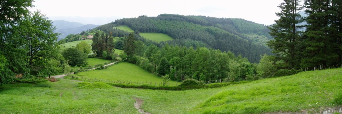 Beloki ipar-ekialdetik ikusita