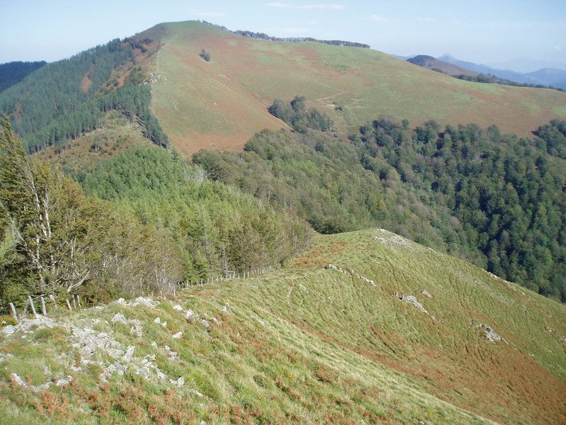Ipar-ekialdeko bizkarra eta Urepel