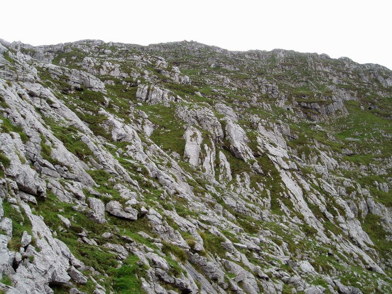 Iparraldeko gandorretik ikusita