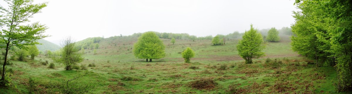 Eskuñeta inguruko paisaia
