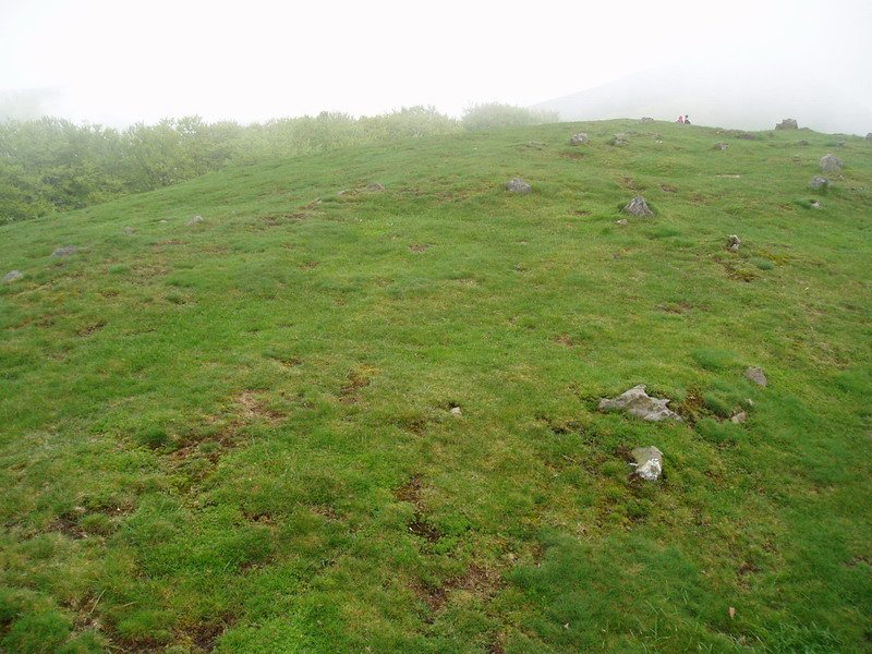 Otarrabizkarrako mairubaratzak