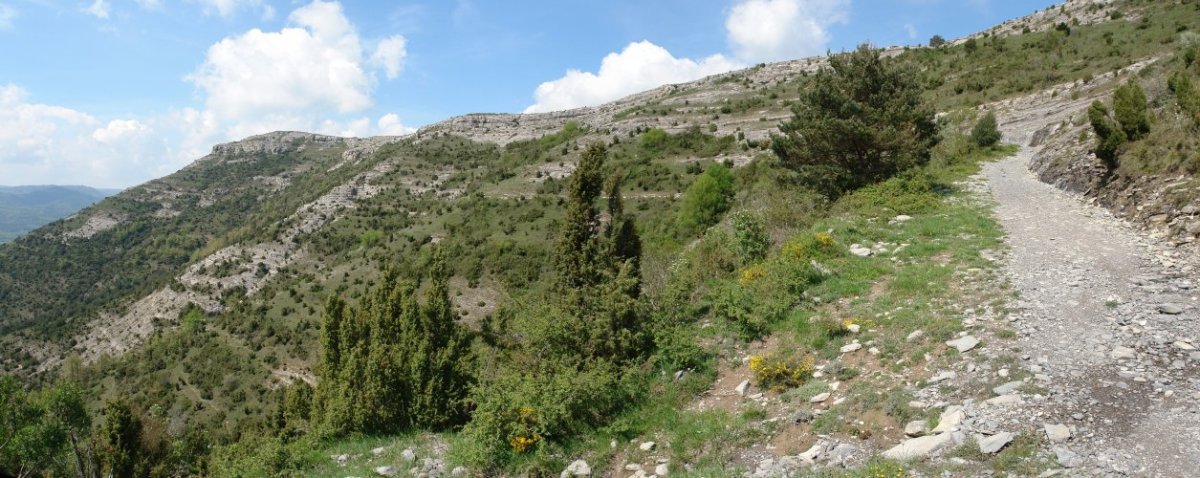 Ezako mendateko igoera