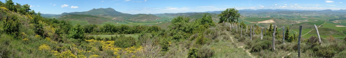 Iparraldeko bizkarra, udaberrian