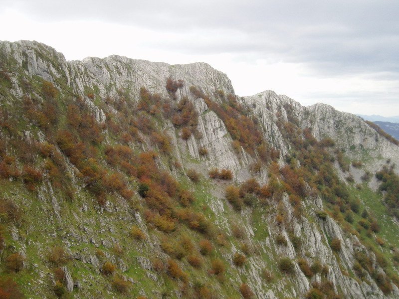 Elgoin eta Kurutzeta ekialdetik ikusita