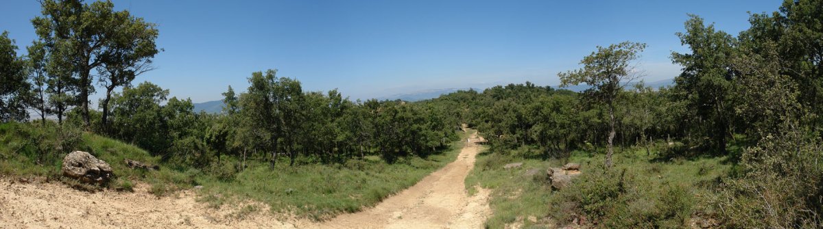 Bidea, mendebaldeko bizkarrean aurrera