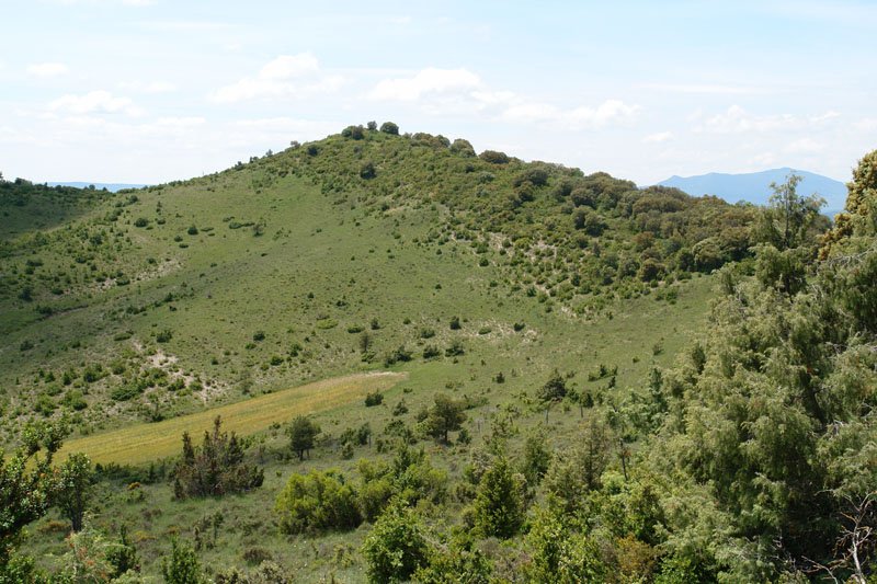 Tontorra, ekialdetik ikusita