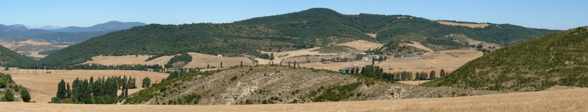 Ardanatz aldetik ikusita