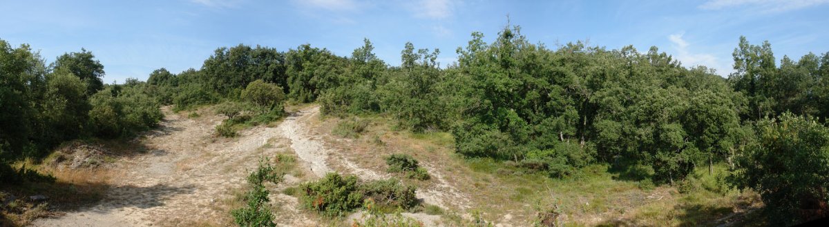 Gebarako muinoko igoera Eko lepotik