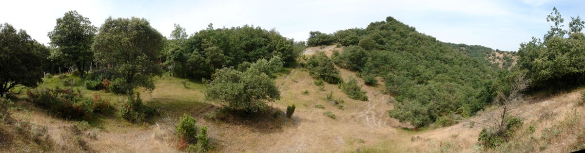 Eko bizkarra, Larreako atakatik ikusita