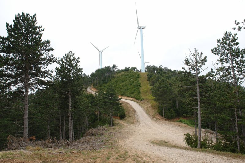 Kalaberagaineko ekialdeko bizkarreko bidea