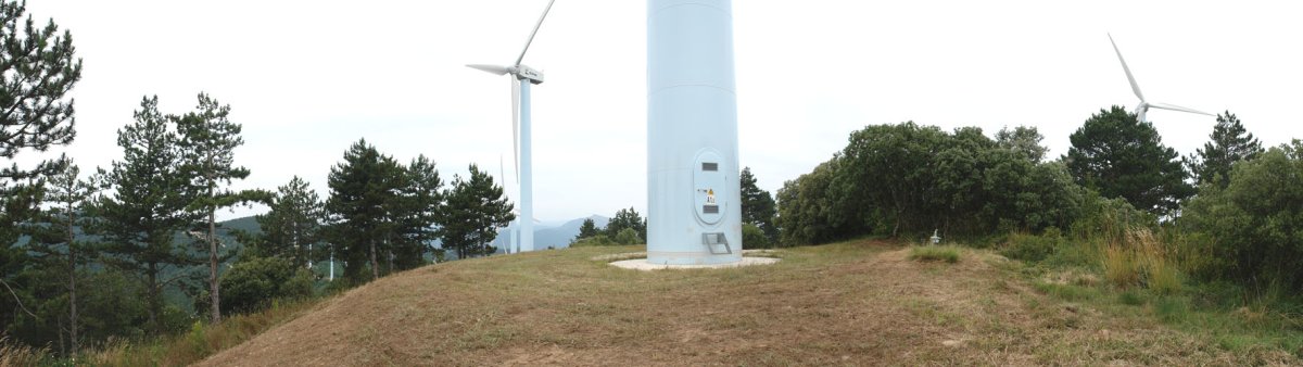 Kalaberagain: gailurra