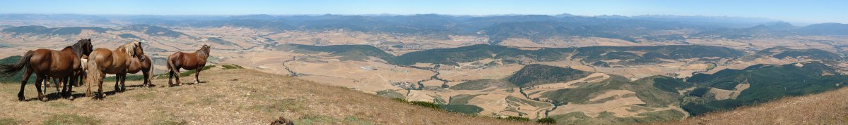 Tontorretik iparraldera begira