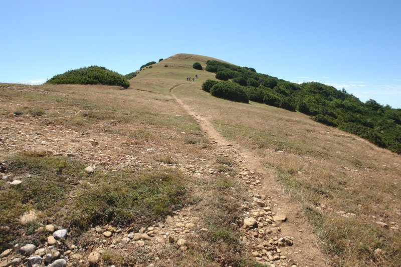 Mendebaldeko bizkarreko bidea