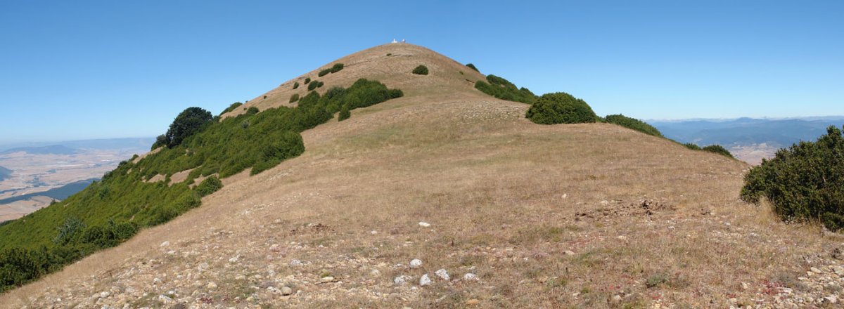 Ekialdeko bizkarretik