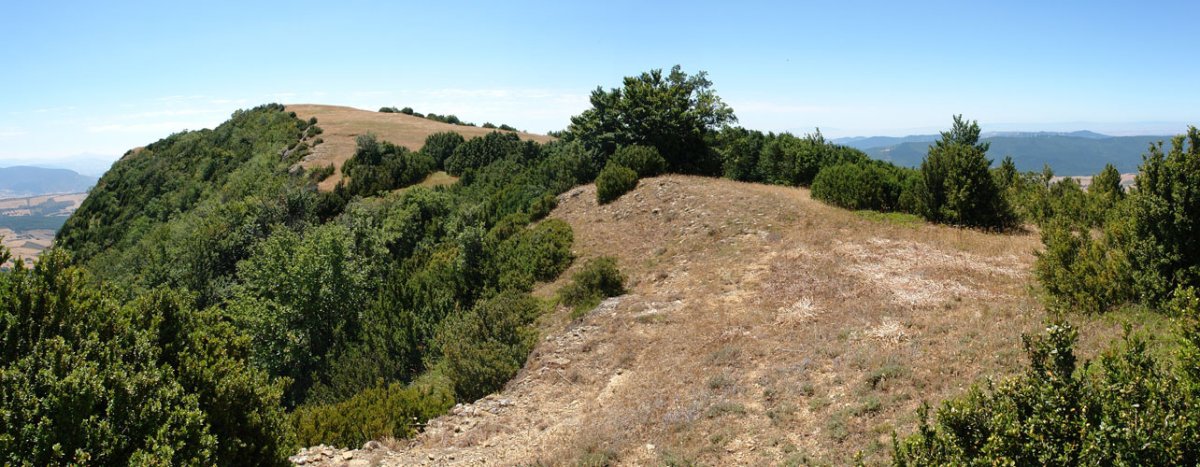 Sanbelles, Mko lepotik