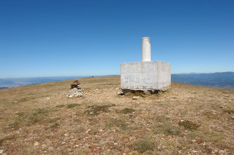 Buzoia eta erpin geodesikoa