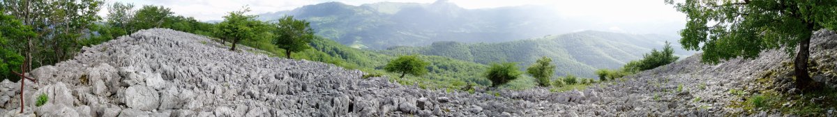 Laparmendiko tontorra