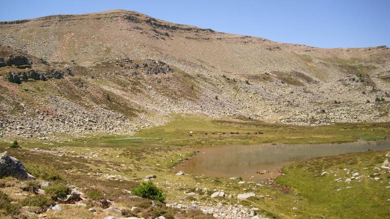 Laguna Largatik ikusita
