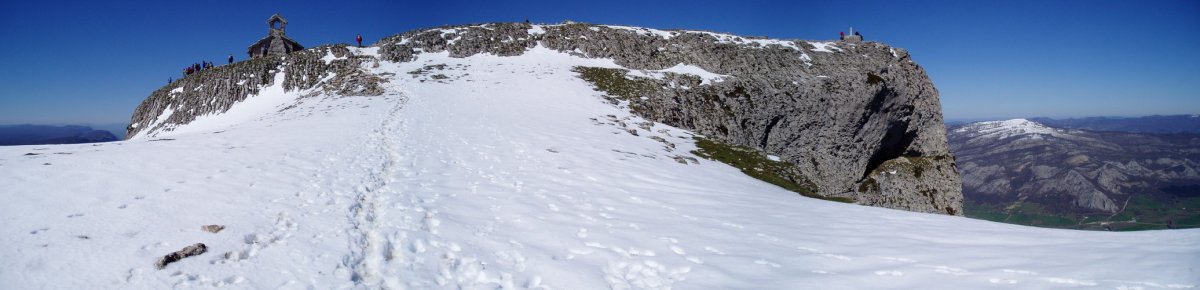 Tontorra ekialdetik ikusita