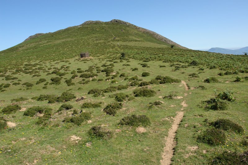 Tontorra HEko lepotik